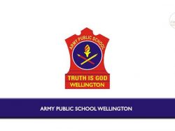 Army public school-min